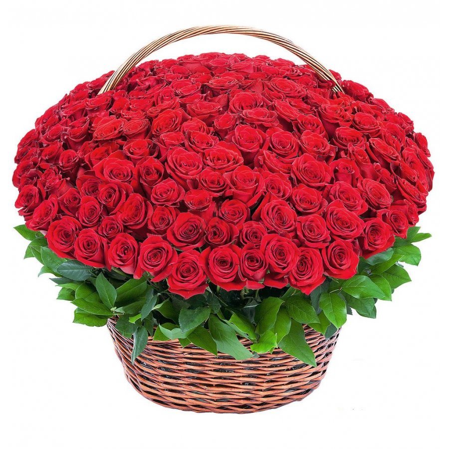 151roza v korzine 900x900