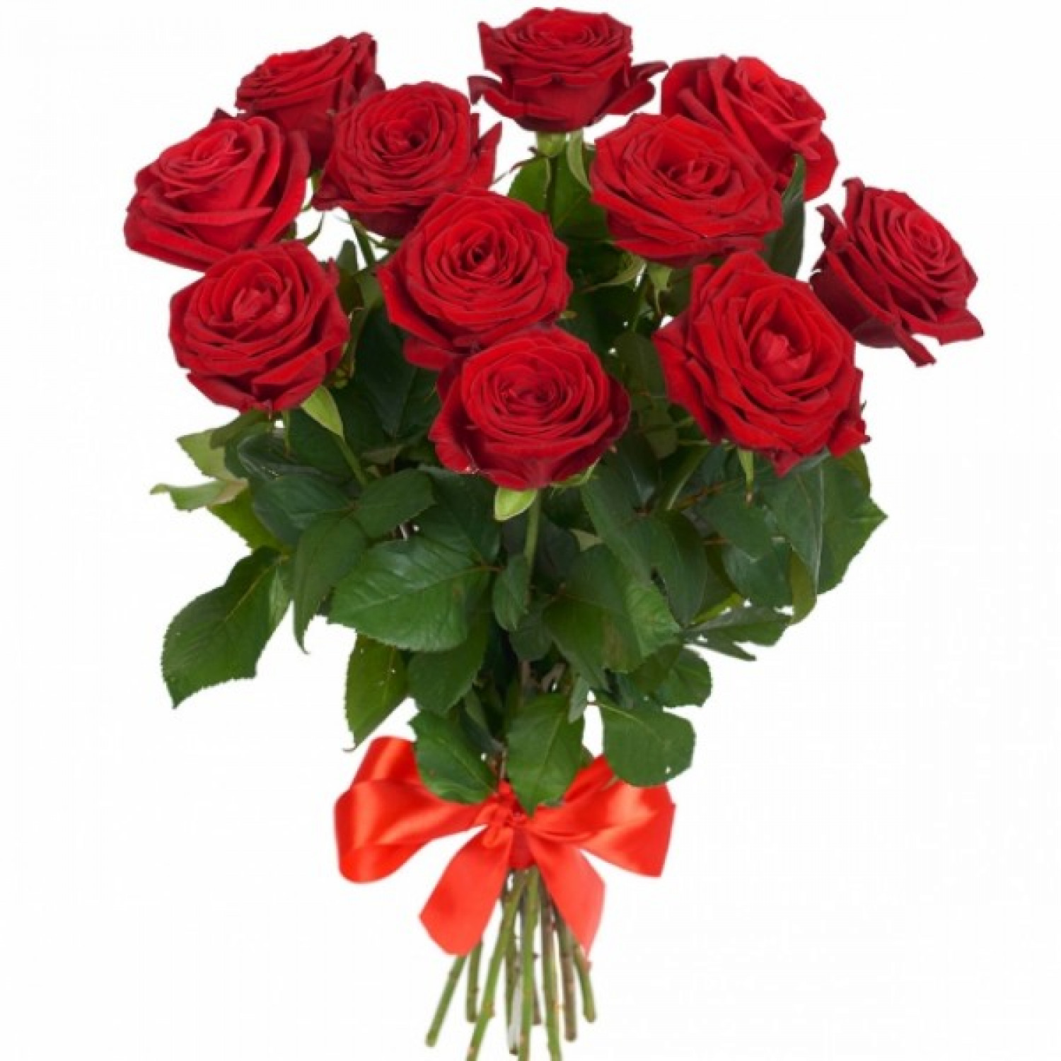 11red 1500x1500