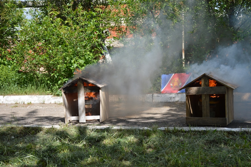 DSC 0071