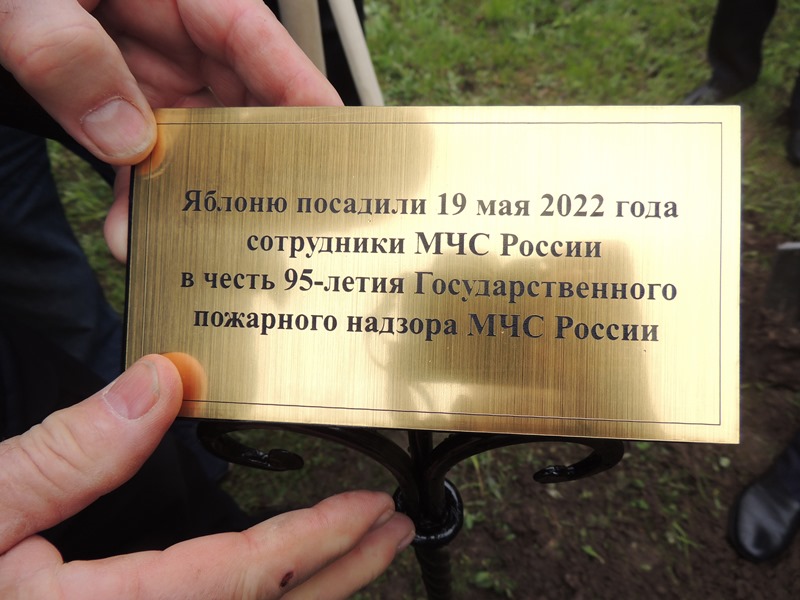 DSCN0558