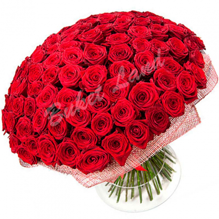 101 krasnaya roza 70 sm 020273 448x448