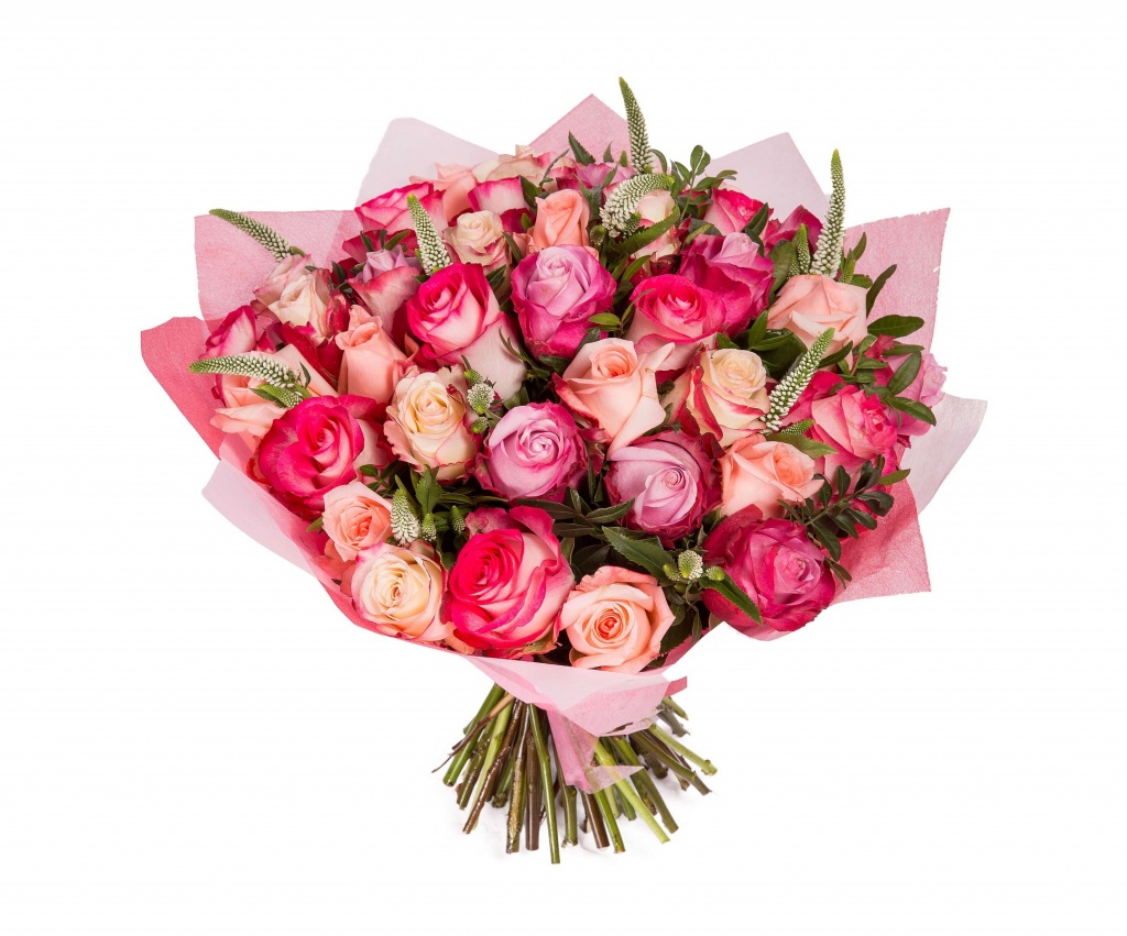 29 rozovyh roz