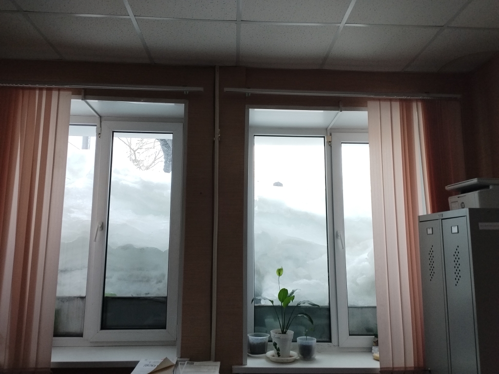 IMG 20240319 090432