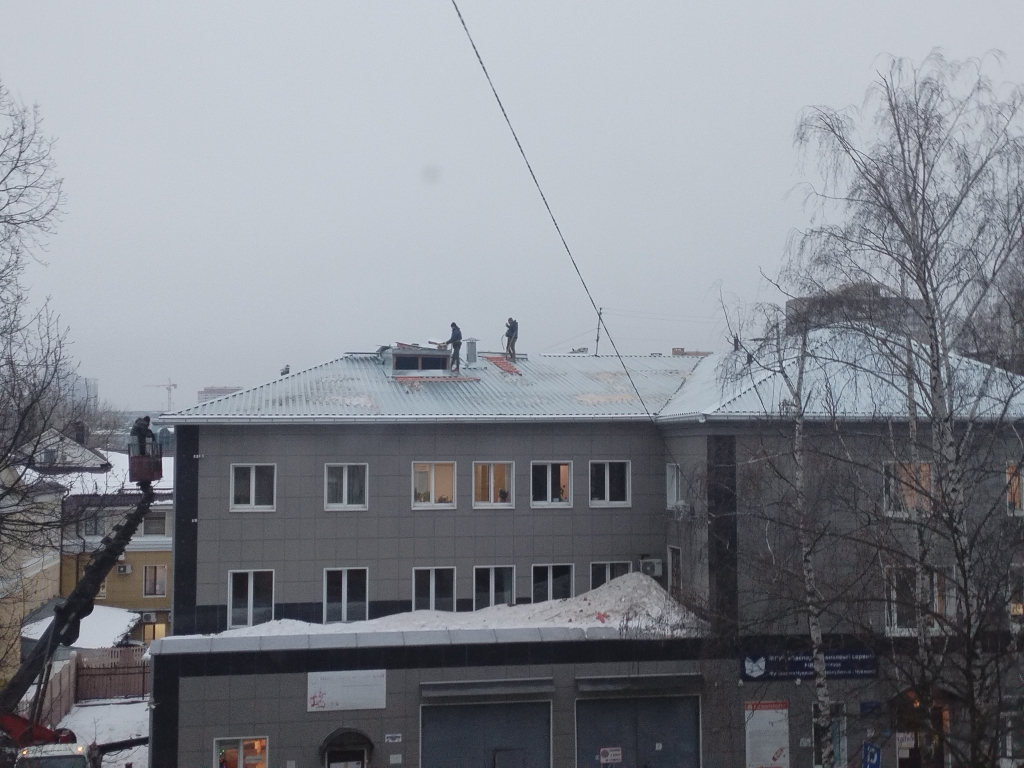 IMG 20241223 085620