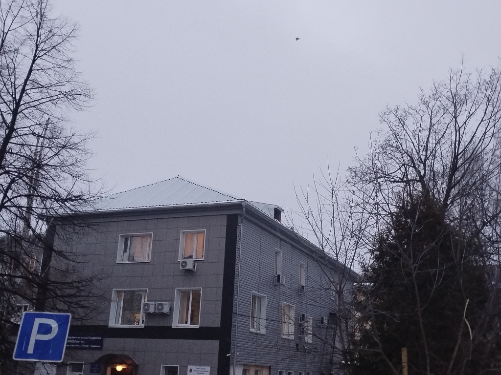 IMG 20241223 090009
