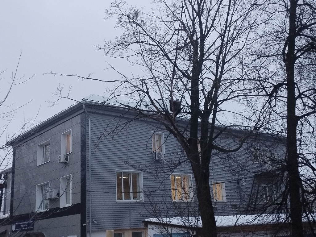 IMG 20241223 090045