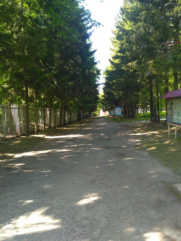 IMG 20200528 140429