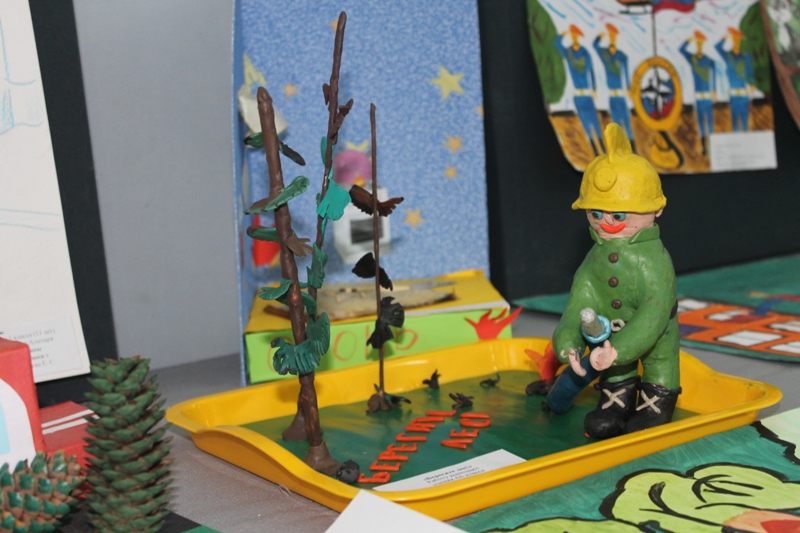 IMG 4735