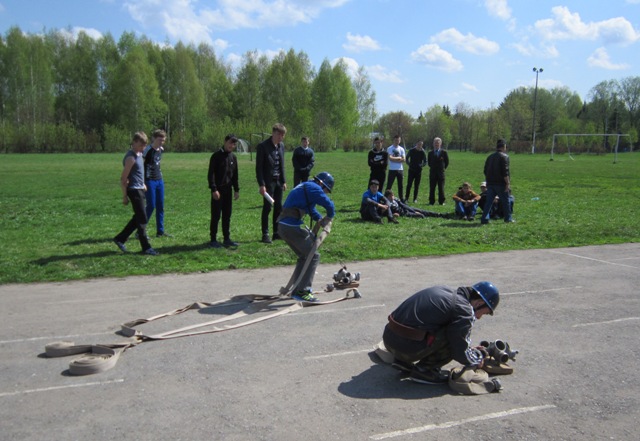 IMG 3978